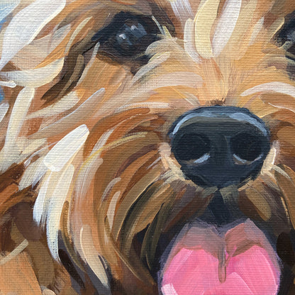 Original Cockapoo Painting - Billy