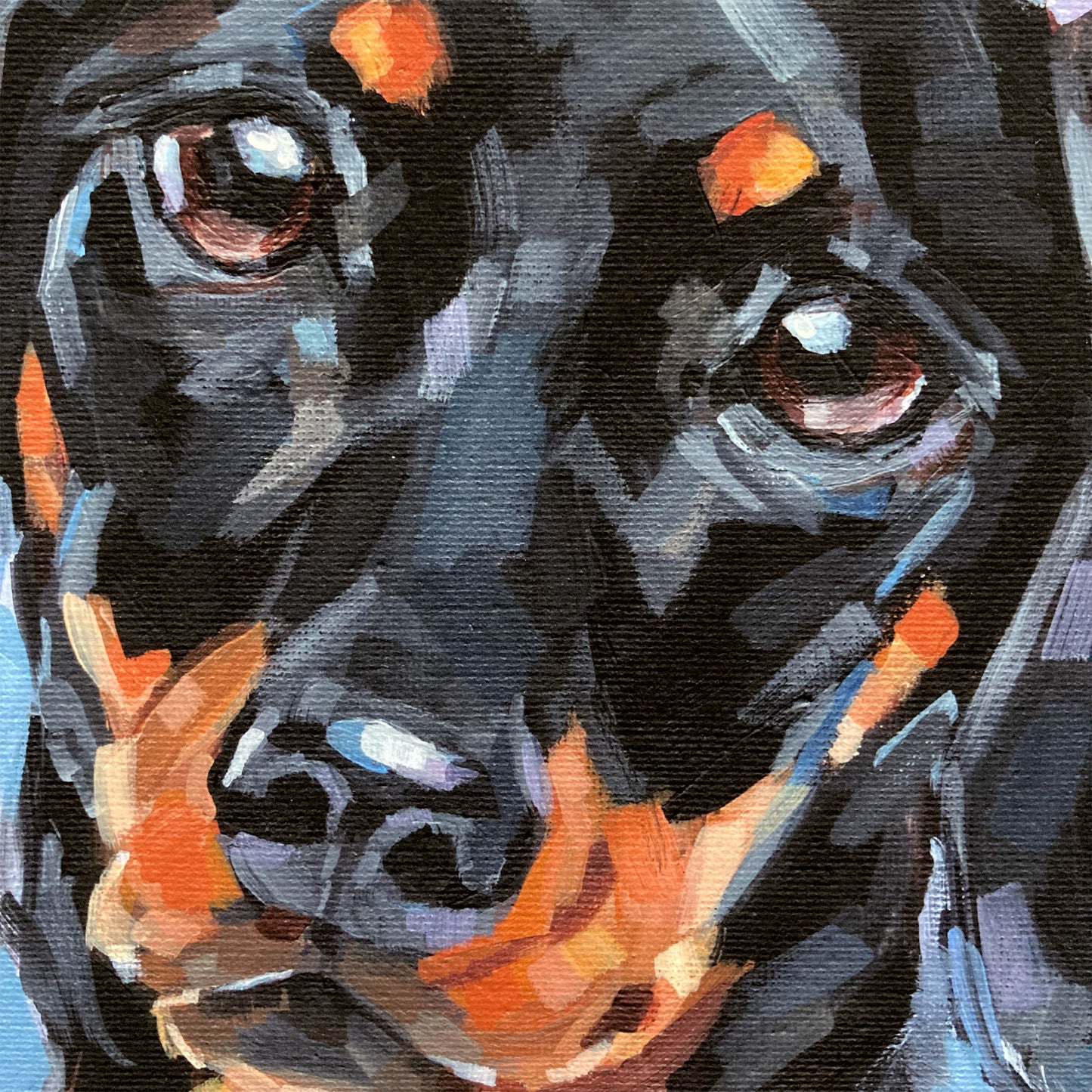 Dachshund Fine Art Print - Bailey
