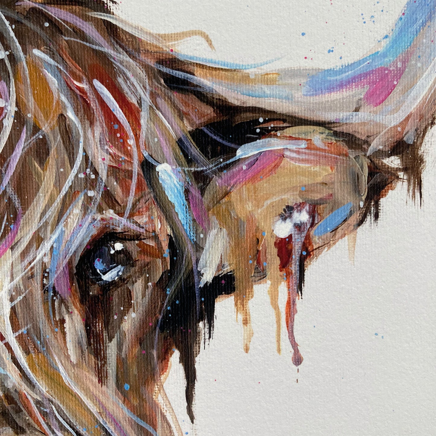 Highland Cow Fine Art Print - Winston