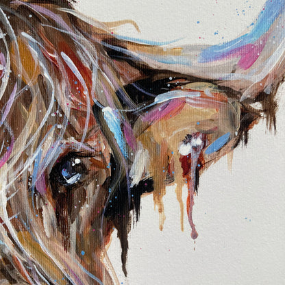 Highland Cow Fine Art Print - Winston
